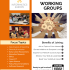 Join IE Working Groups