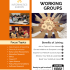 Join IE Working Groups